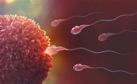 Reproduction .